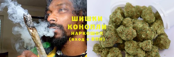 каннабис Богданович