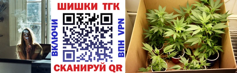 Купить  Лыткарино  Конопля план 